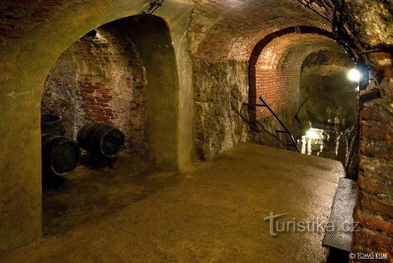 Jihlava catacombs