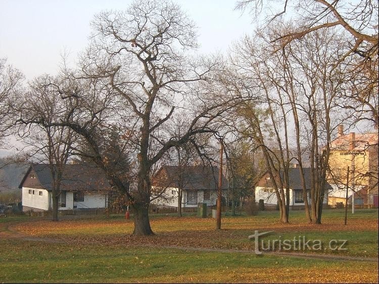 Au sud-ouest du village : le village depuis le château