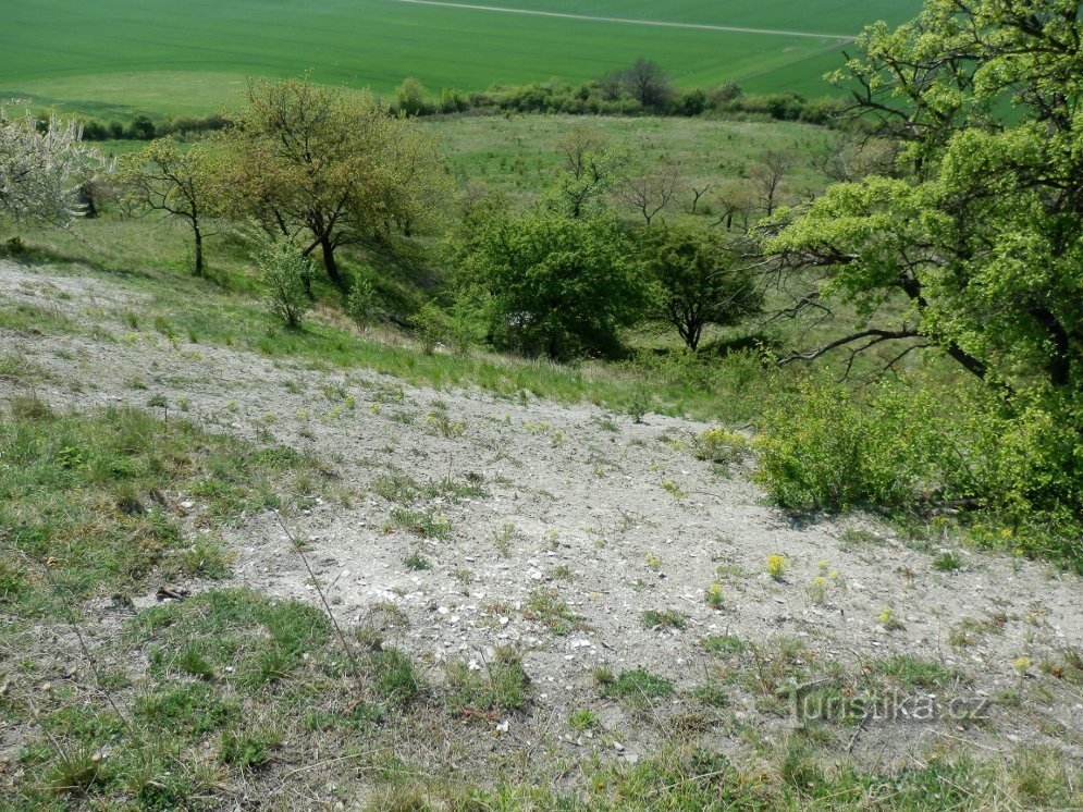 Ladera suroeste con pastizales esteparios xerotérmicos