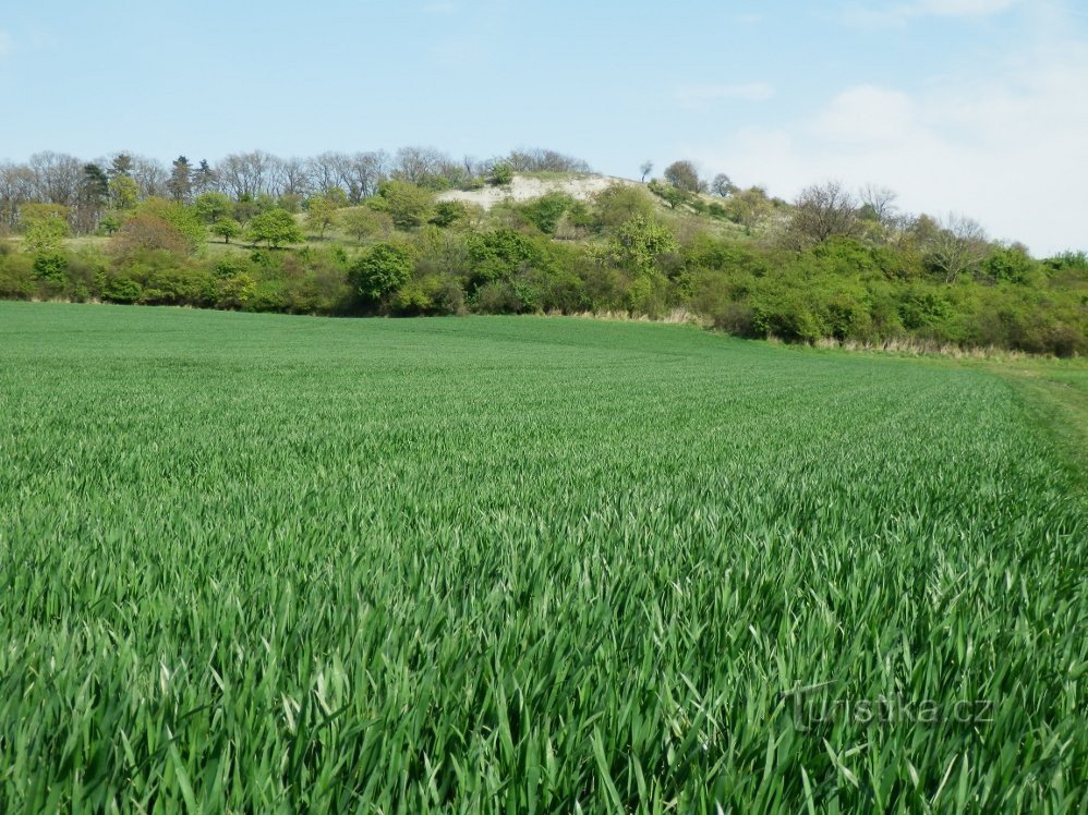 Colline sud-ouest d'Oškobrh