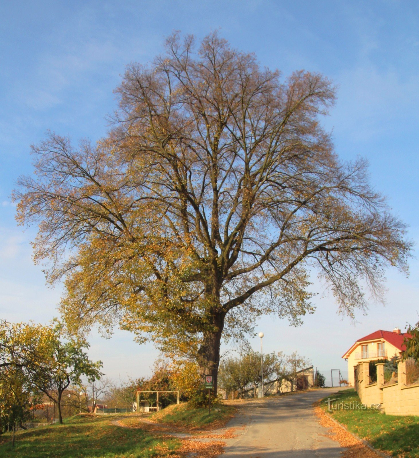 Jinacovica-Linde