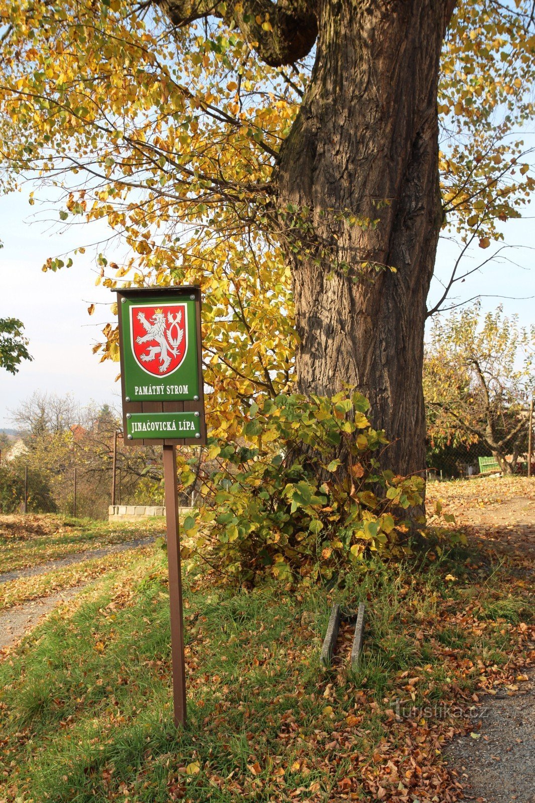 JInačovice lehmus