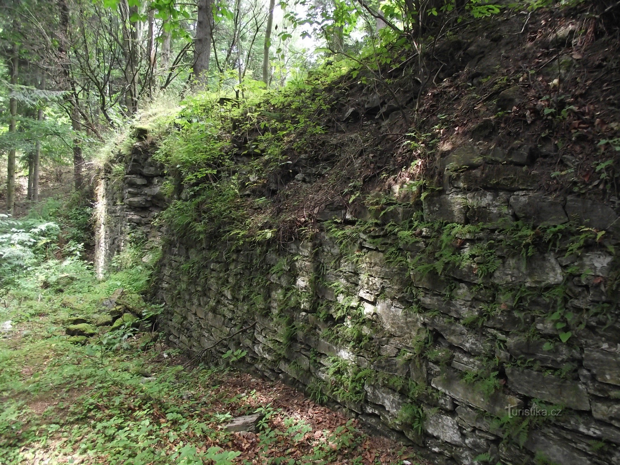 Jindřichov (districtul SU) - ruinele Castelului Pleče (Jindřichovský hrad)