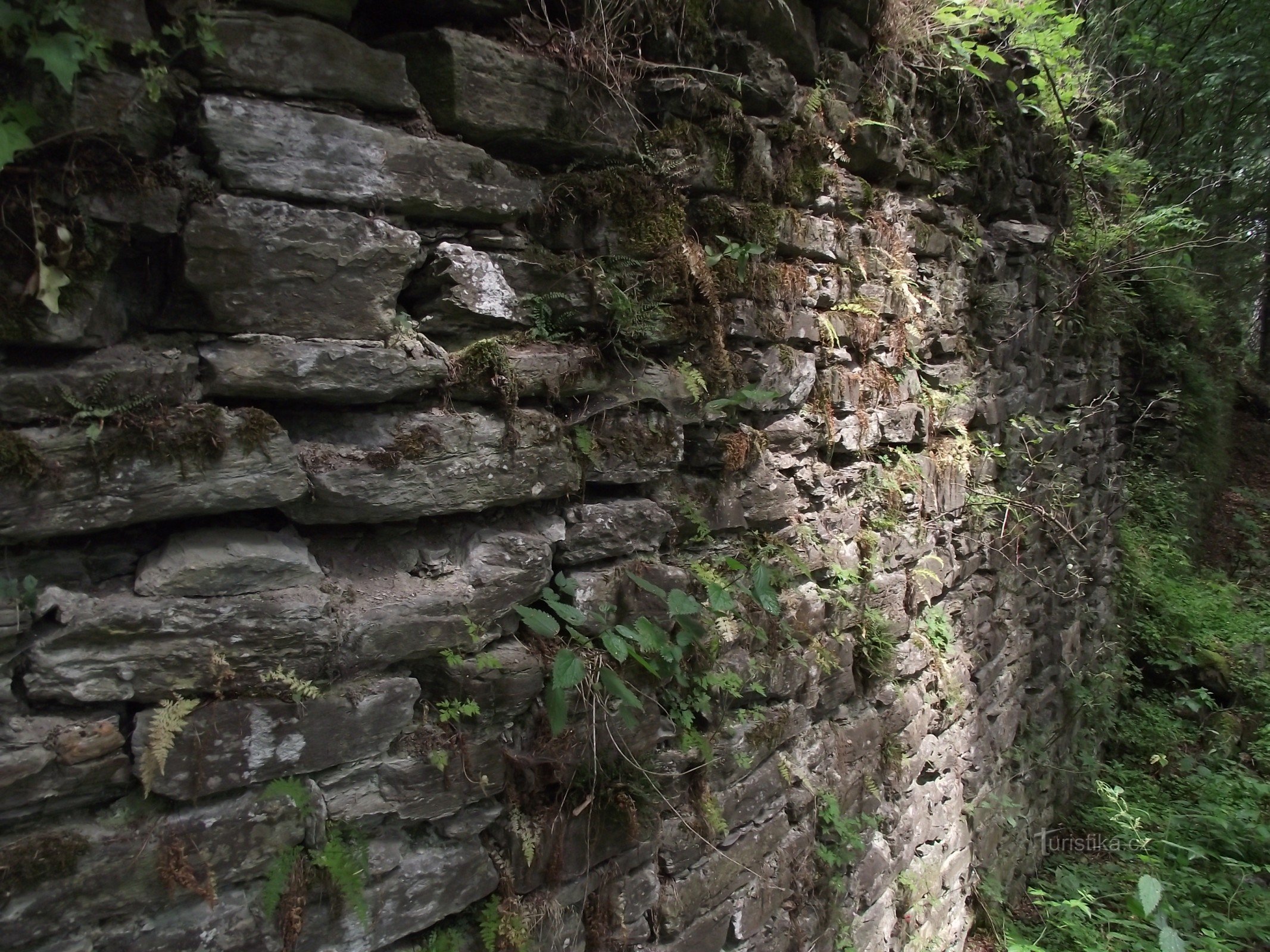 Jindřichov (SU-distrikt) - ruinerne af Pleče Slot (Jindřichovský hrad)