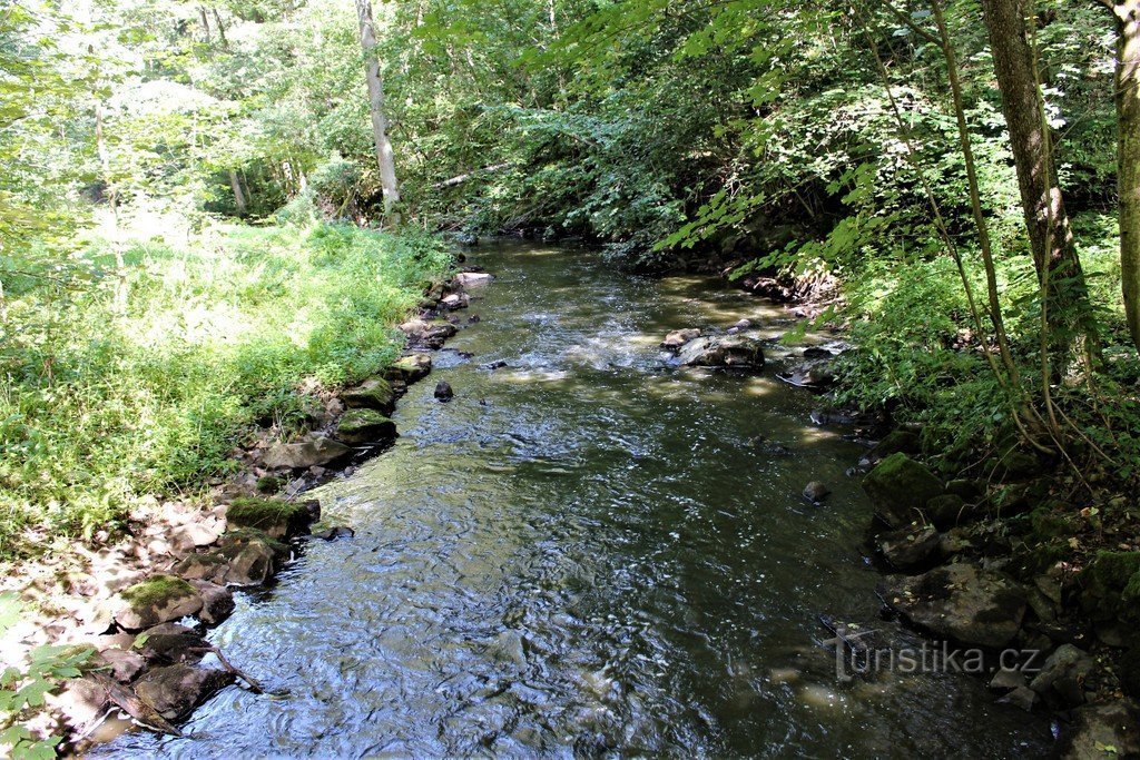 Jindřišské údolí – Hamerský potok