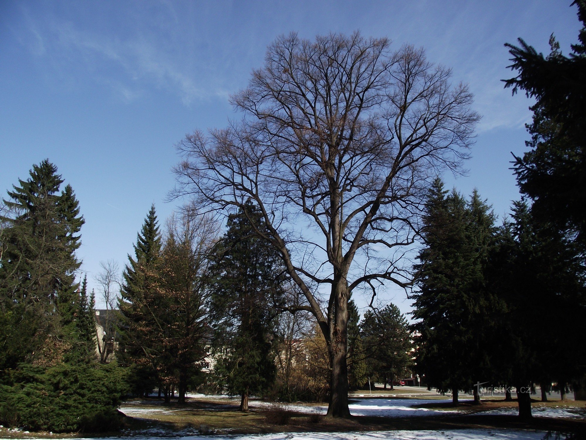 Jirásk's orchards