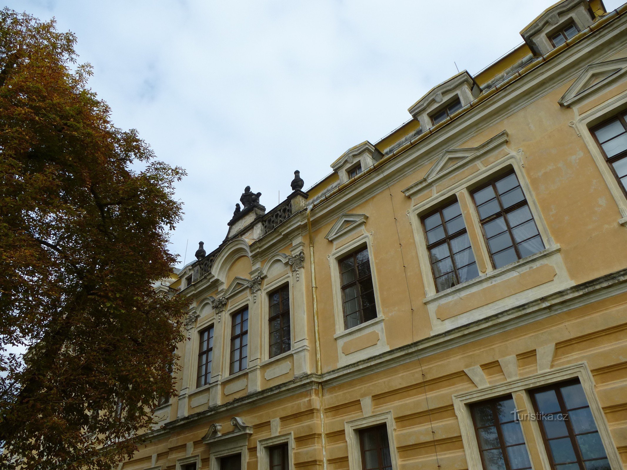 Jírovec retozando cerca del castillo en Lysá nad Labem