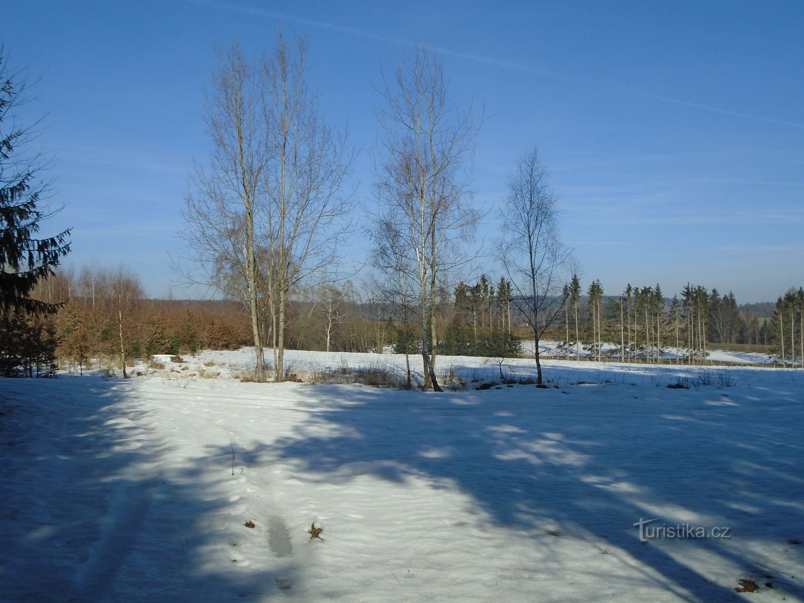 Живины (Бржице, 18.2.2019)