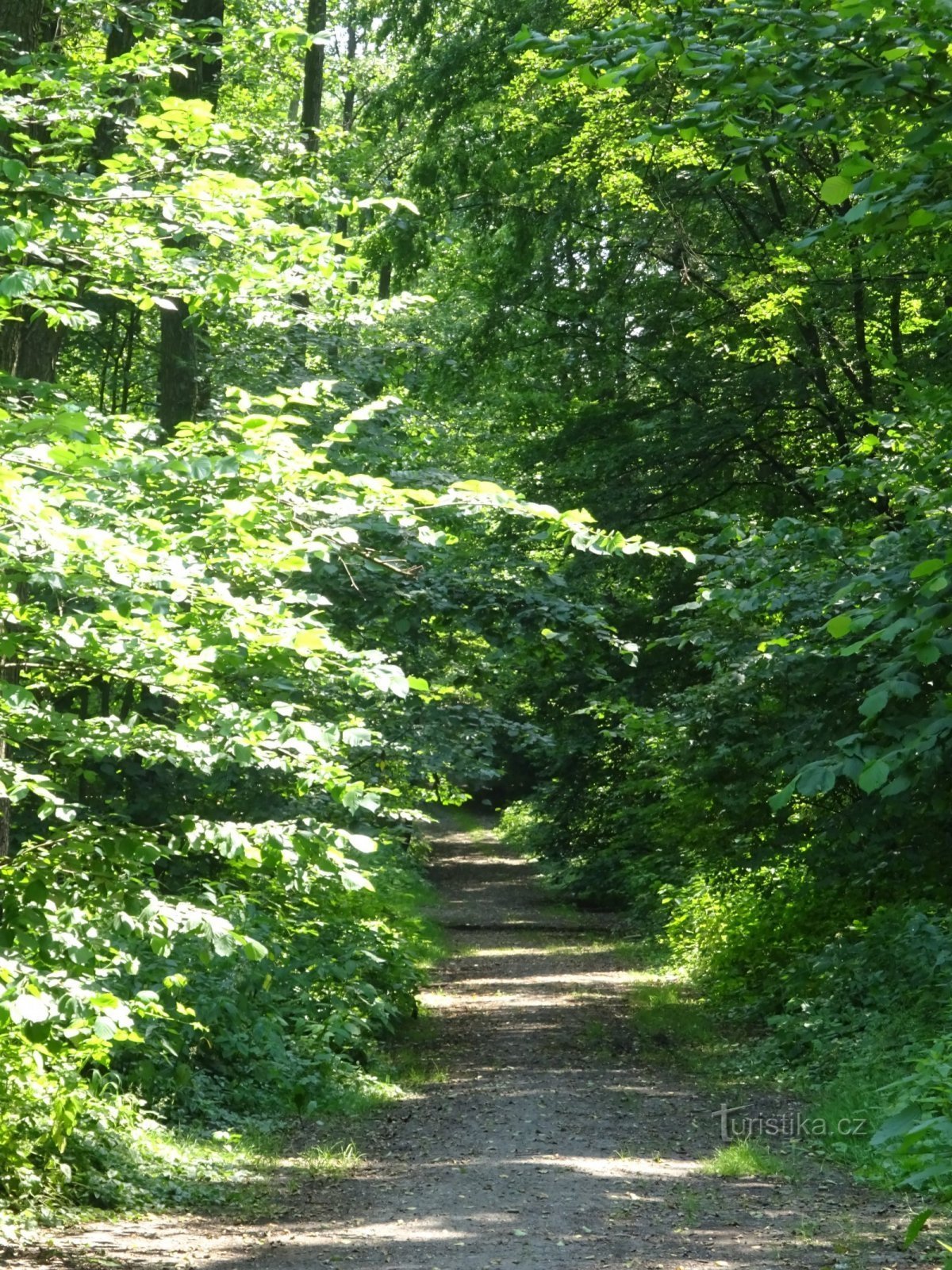 Sto già prendendo una strada secondaria