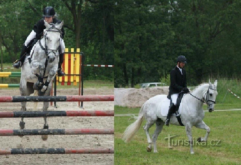 riding school JO Šumperk