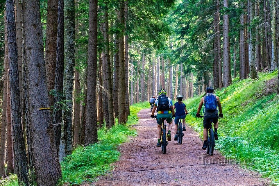 Cykelbus køreplaner i Hradec Králové-regionen