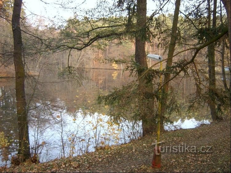 Margem sul: a margem sul de Dvorské rybník, por onde passam os turistas vermelhos e azuis