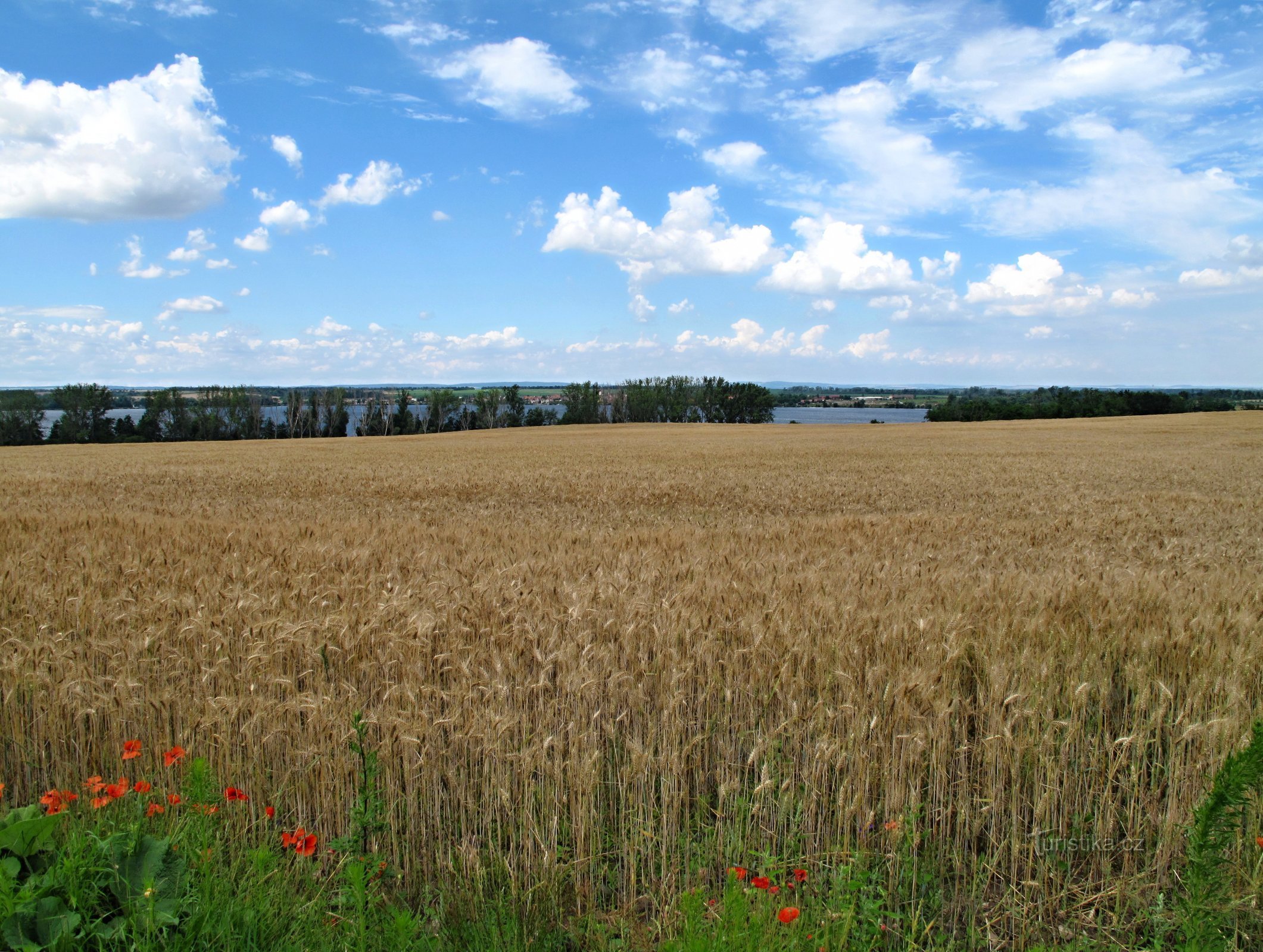 Nam Moravia: tại các hồ chứa Nové Mlýny