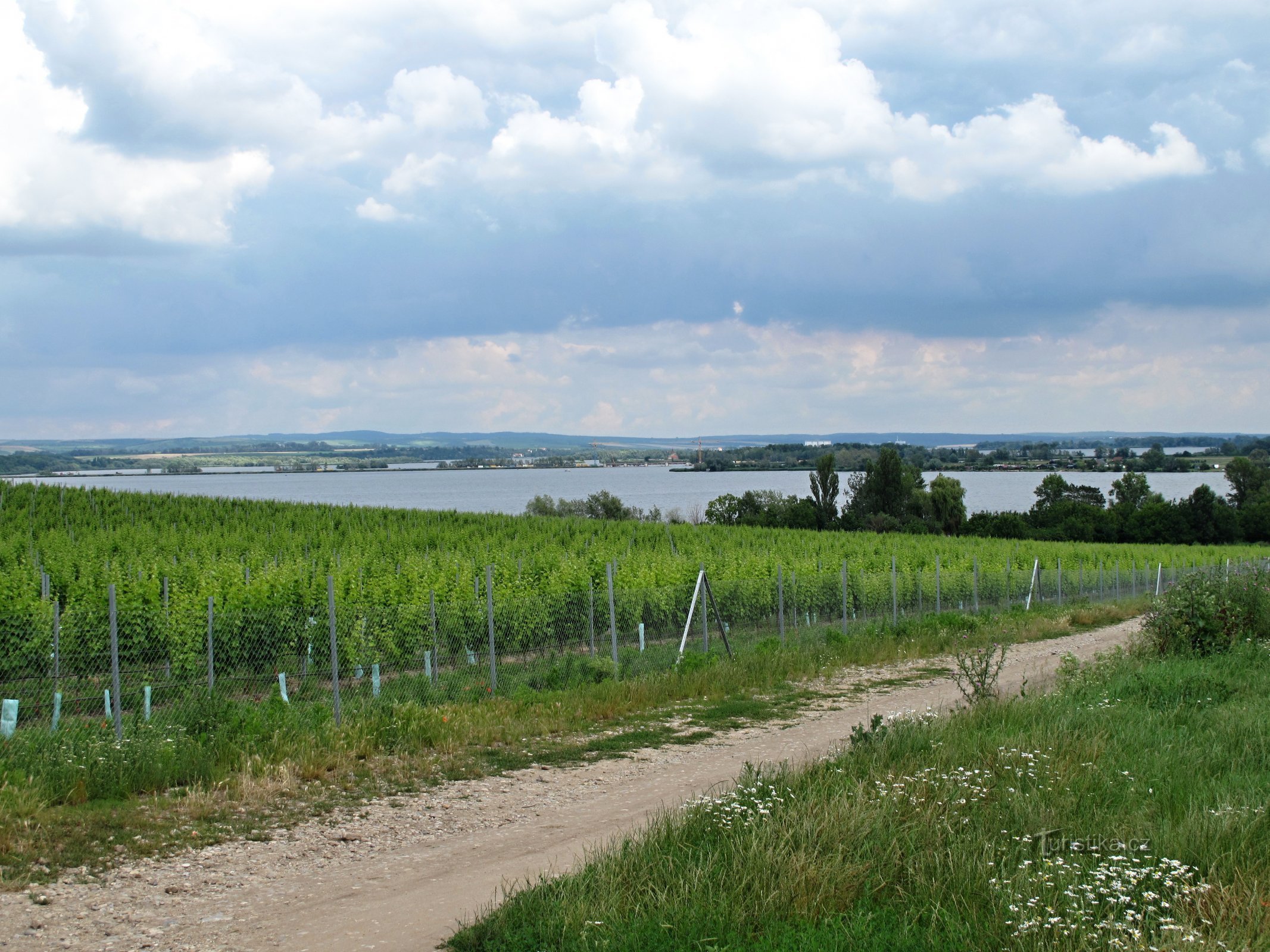 South Moravia: at the Nové Mlýny reservoirs
