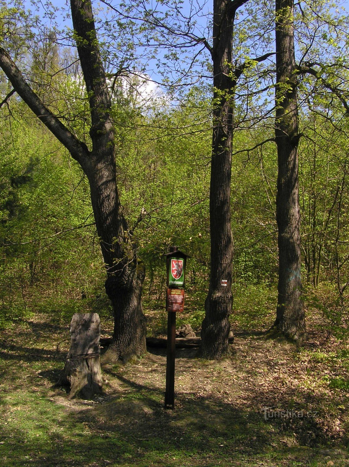 zuidelijke rand van het reservaat - bij het rode wandelpad