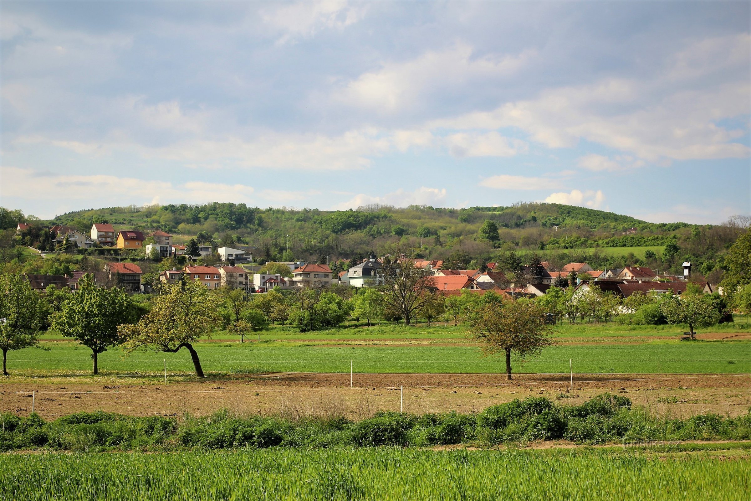 The southern slopes reach up to the village of Moravské Bránice