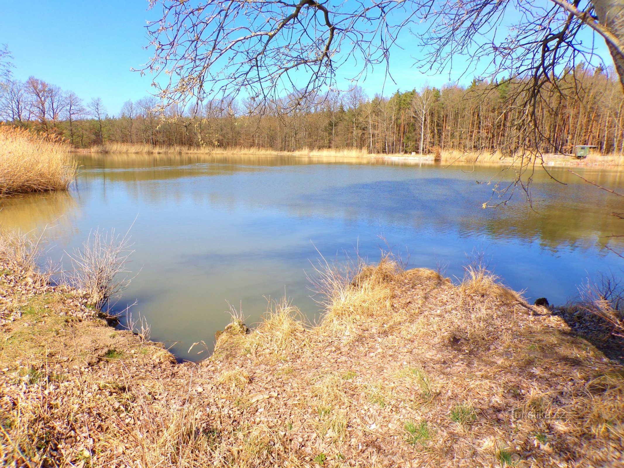 Йорданія (Těchlovice, 27.3.2022)