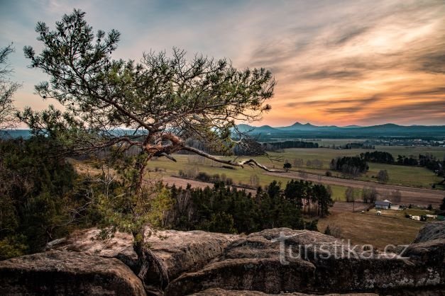 Le point de vue de Julia Ralsko