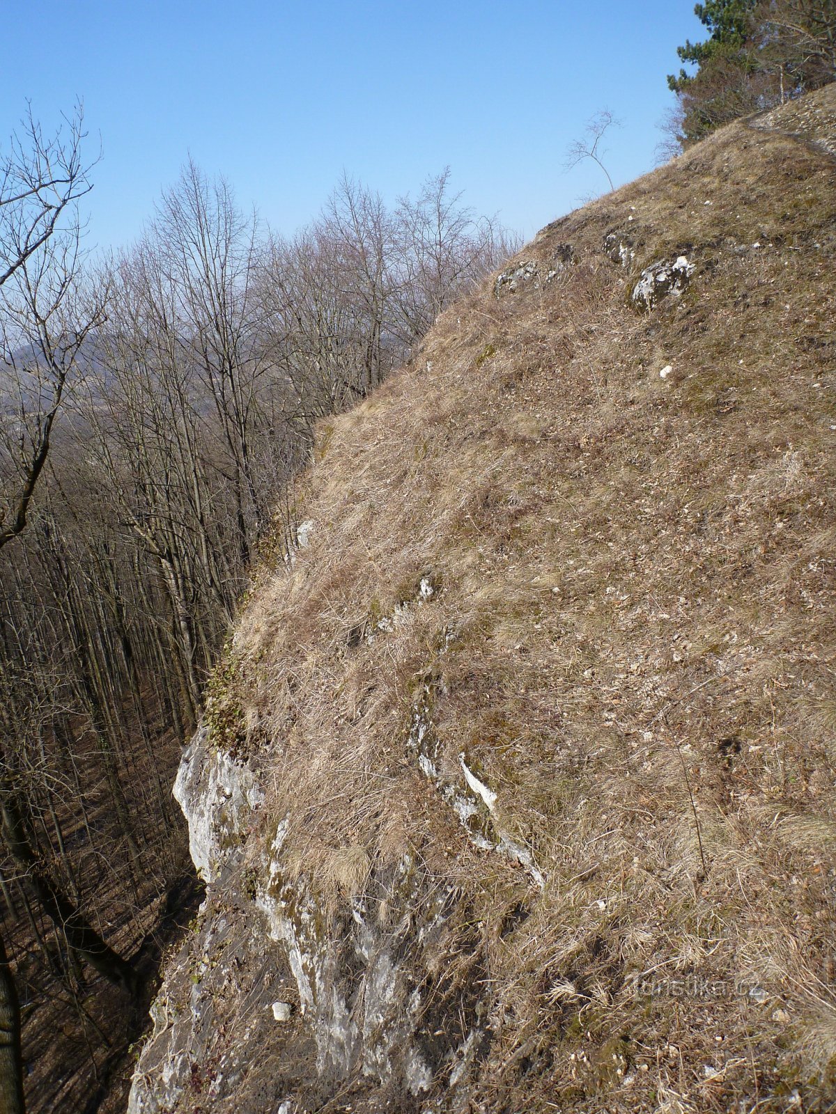 Юрский камень.