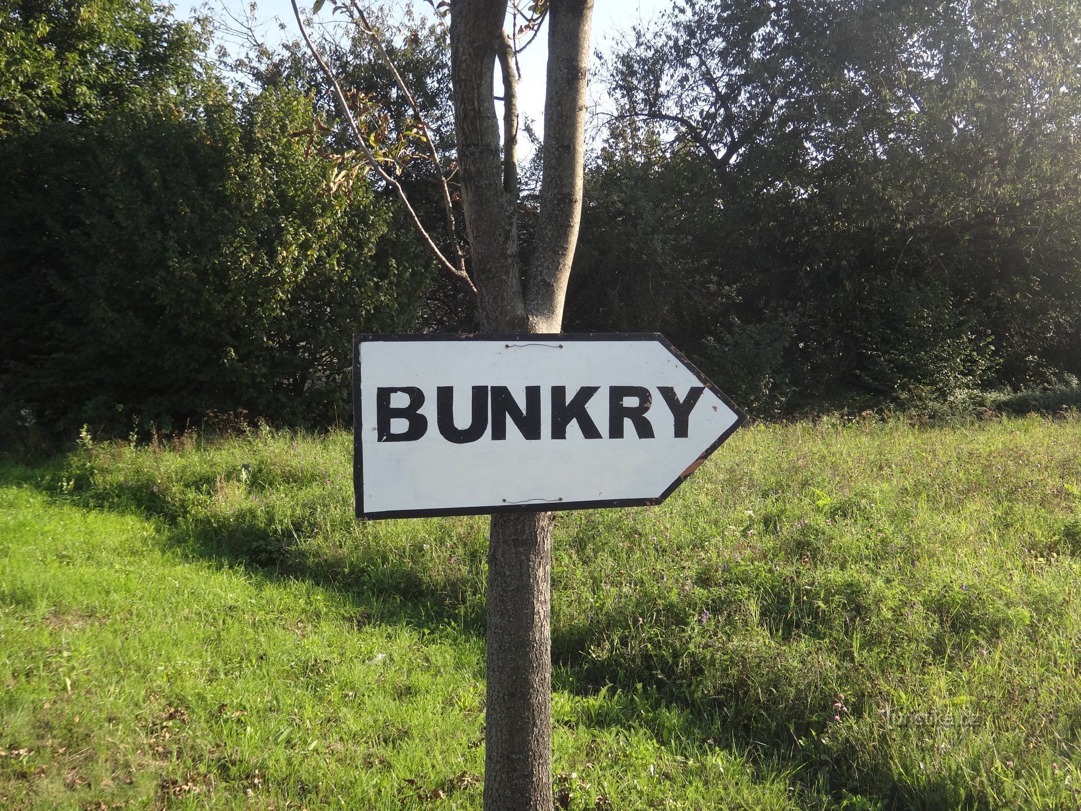 do bunkrów