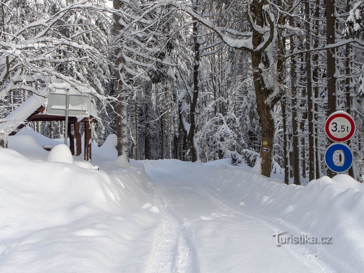 Spre Moravia Superioară