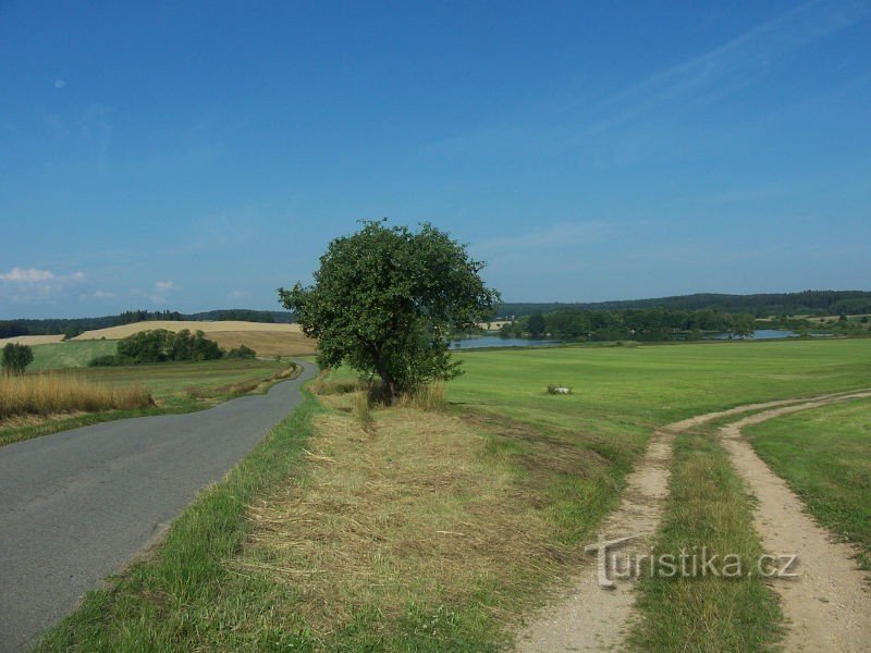 Zum Nassen Teich