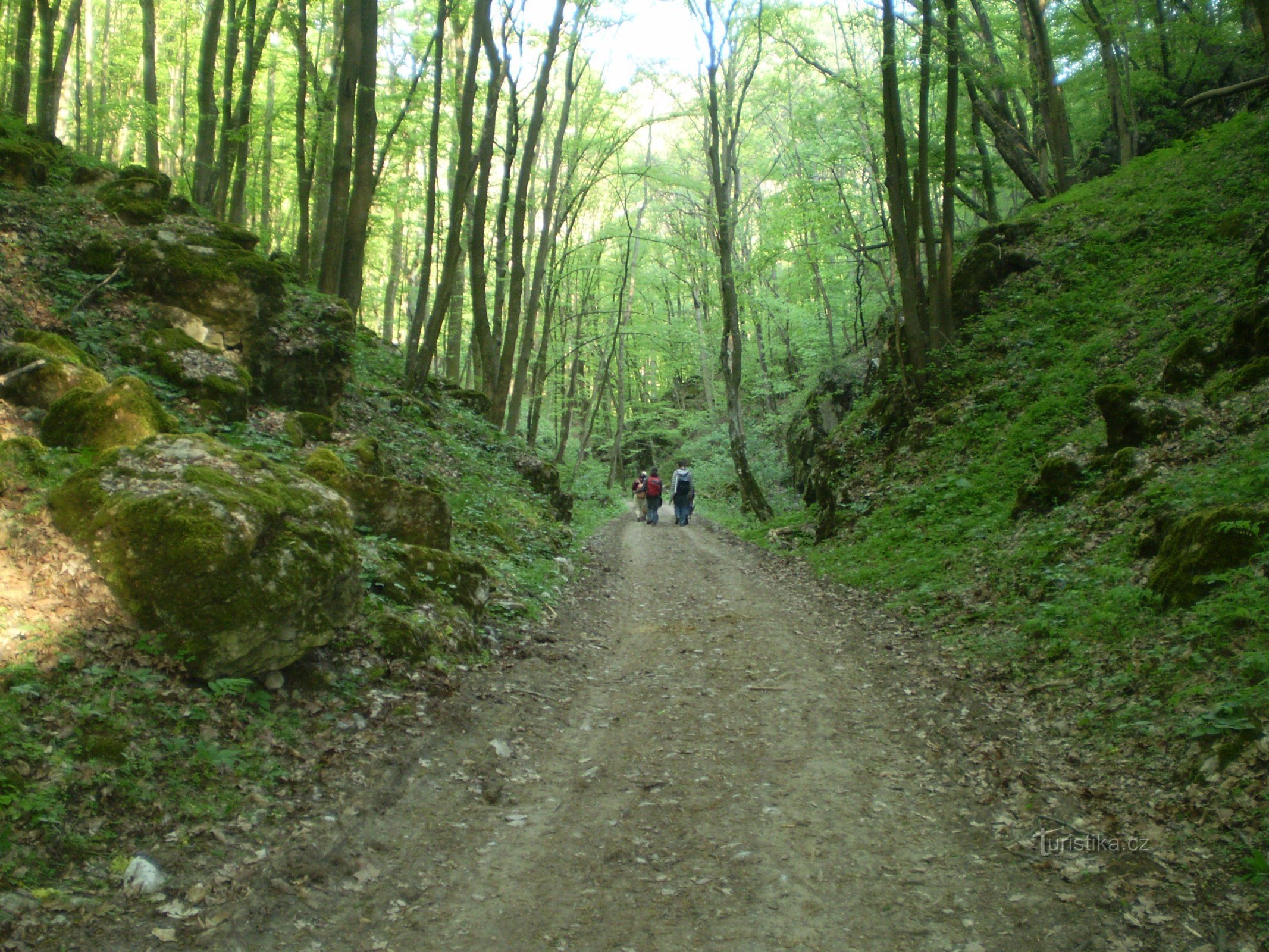 Zur Ochoz-Höhle