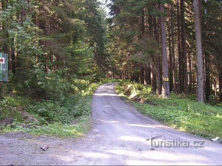 Vers le pavillon de chasse d'Opava