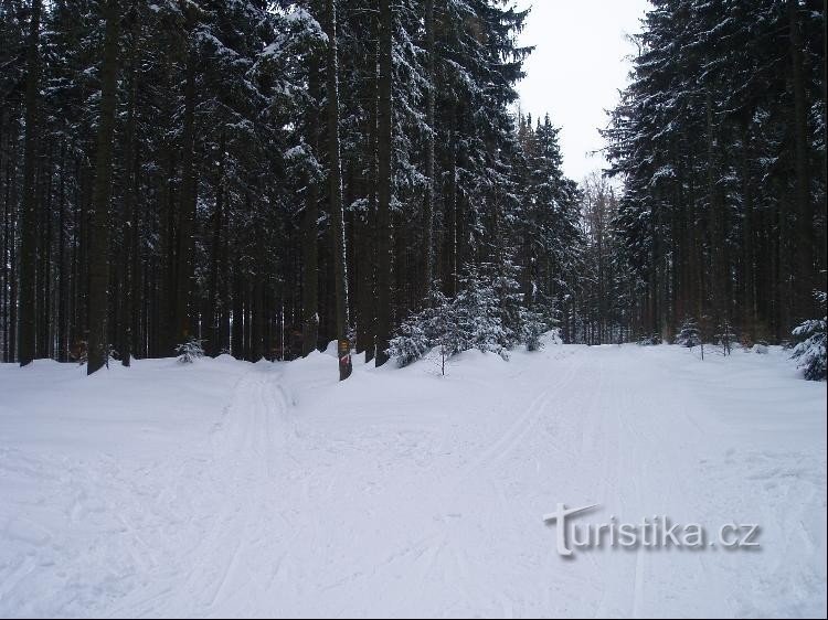 Zur Kreuzung Nad Karlov