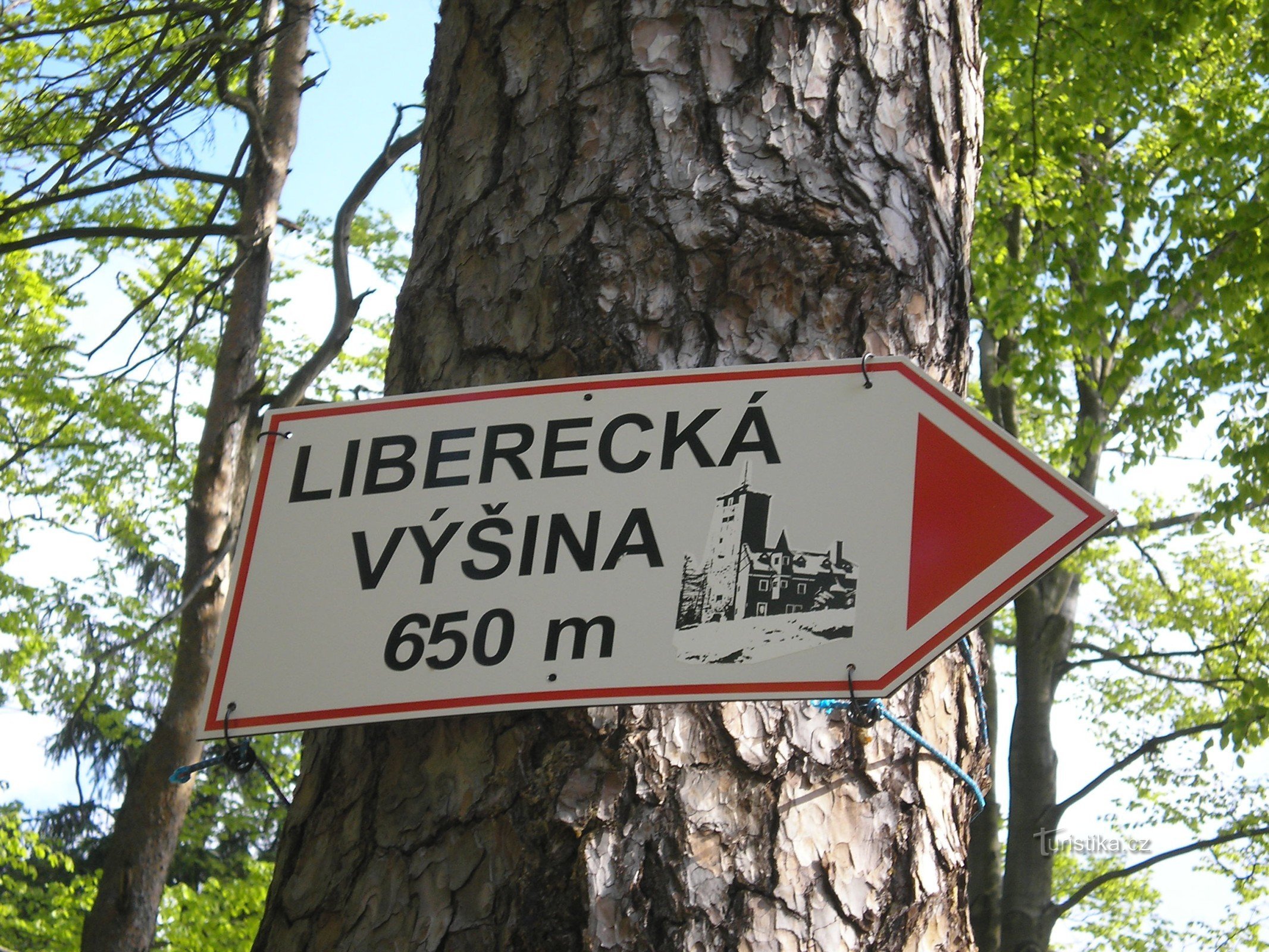 A la torre de vigilancia