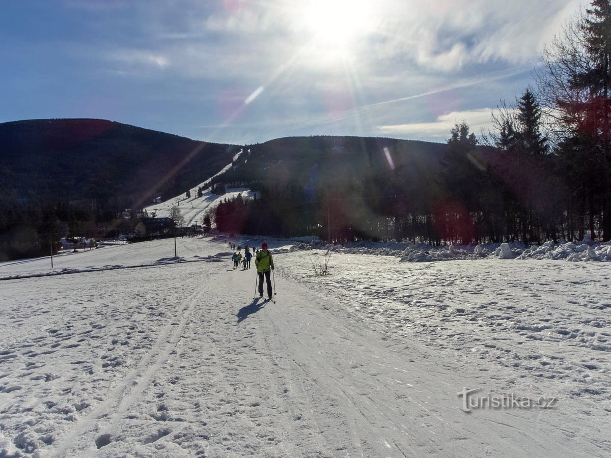 To the windbreak