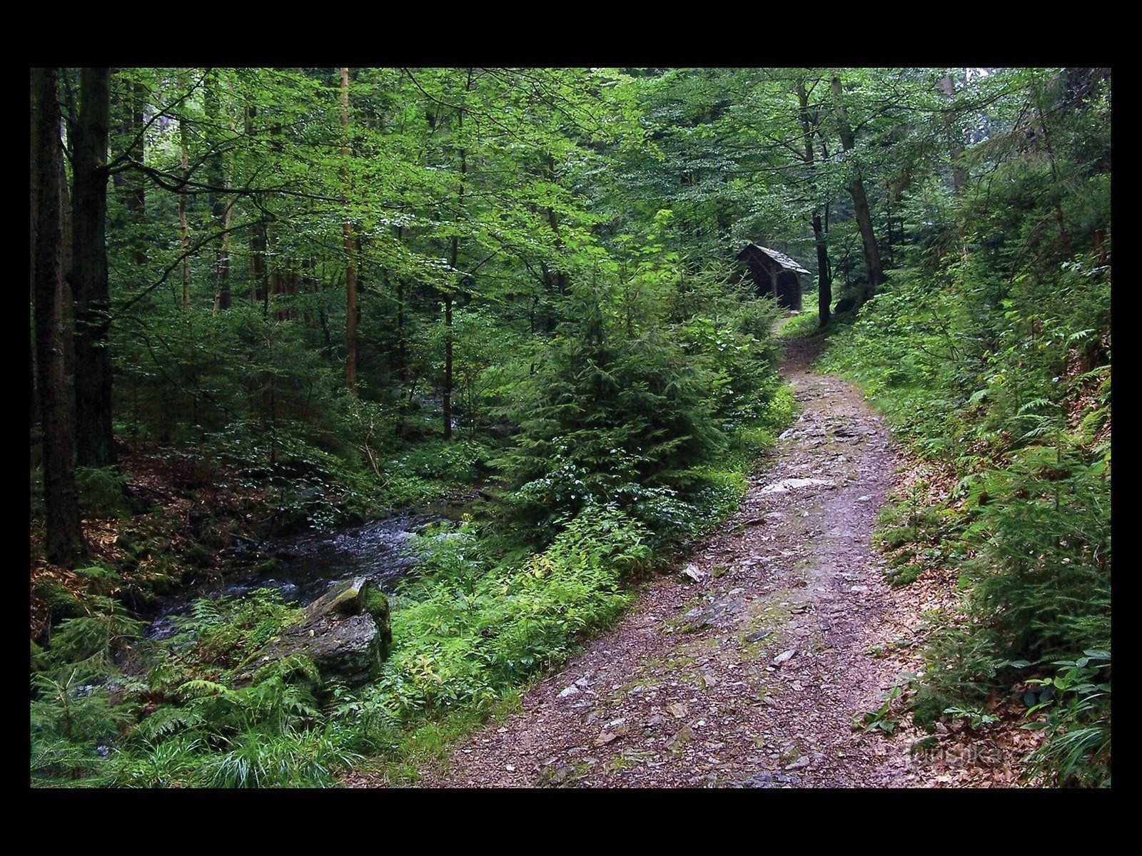 Alle cascate