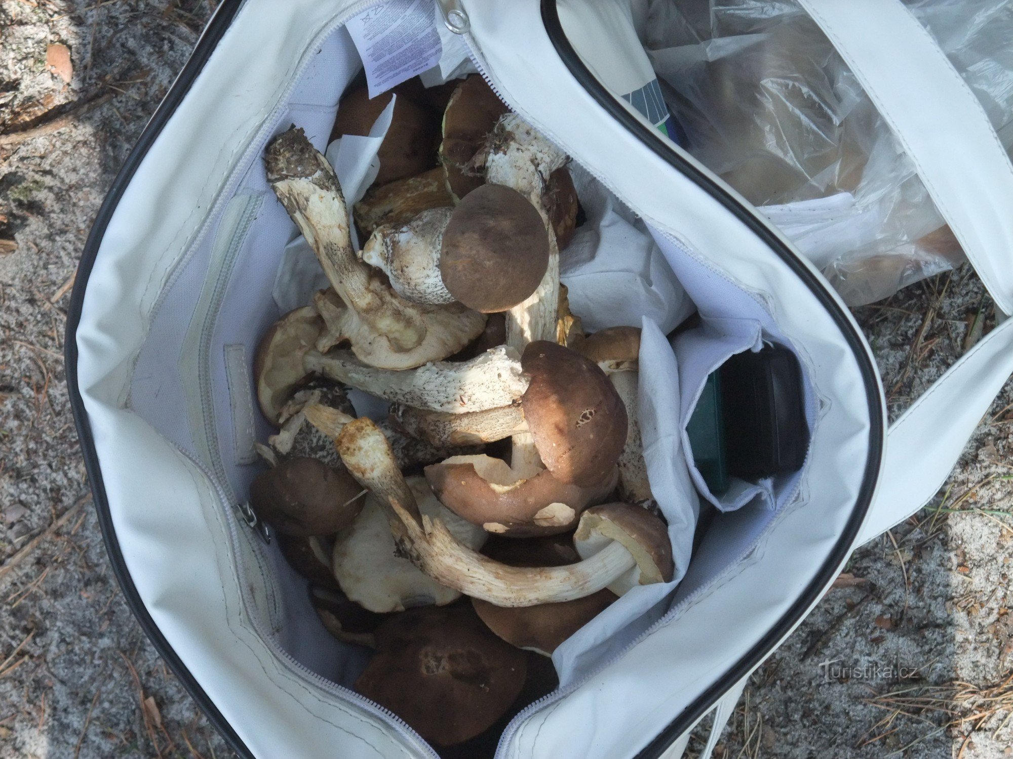 kabelka s houbami