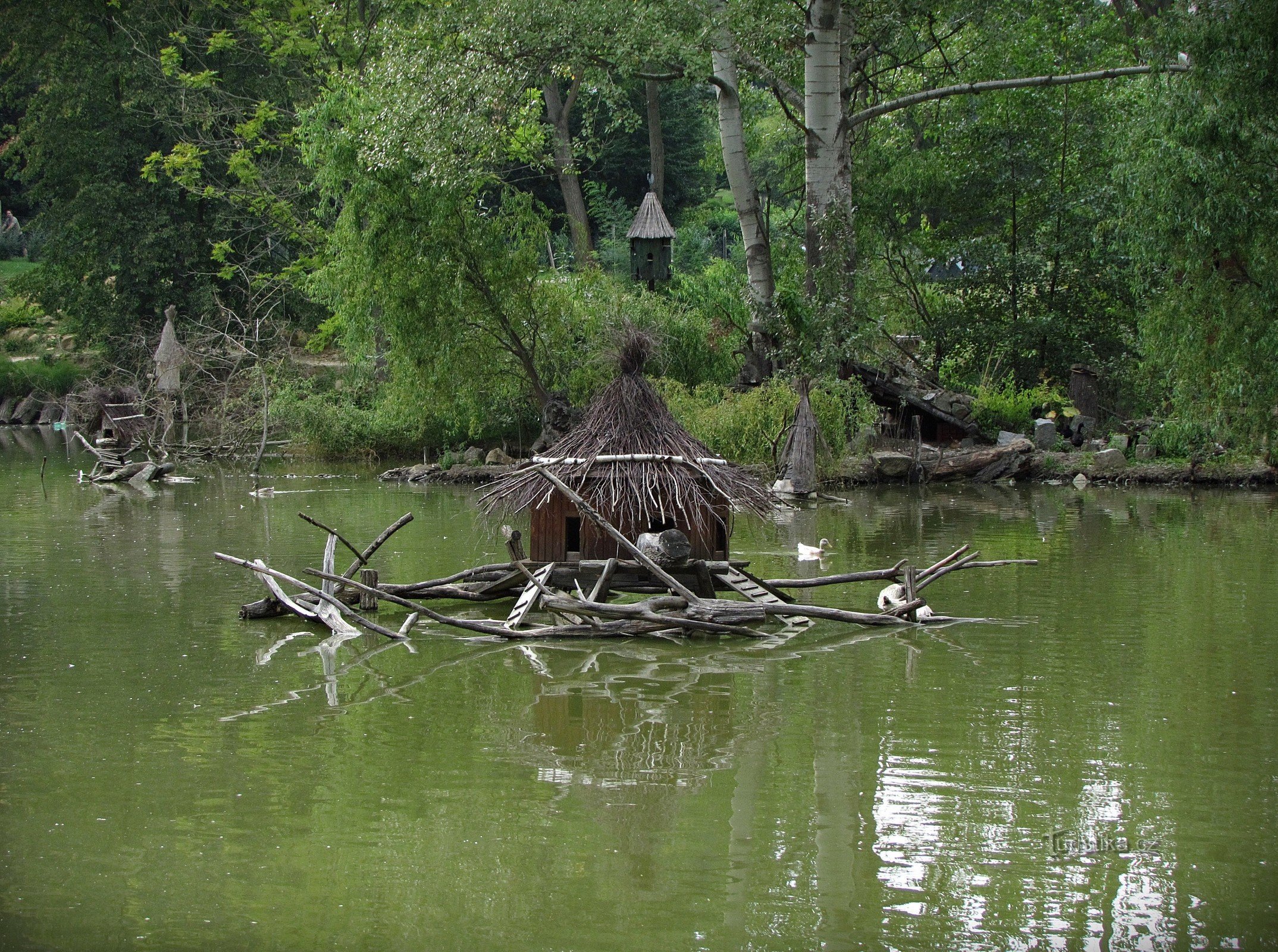 Paraíso de patos en Smraďavka