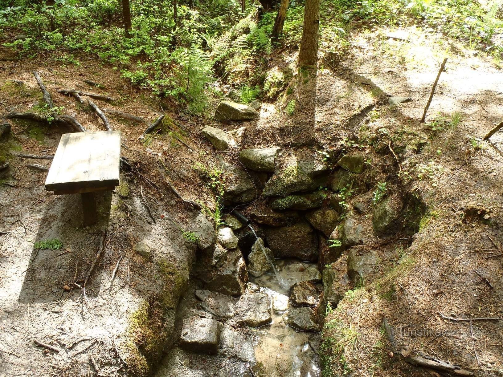 Kadolecká studánka - 6.5.2012