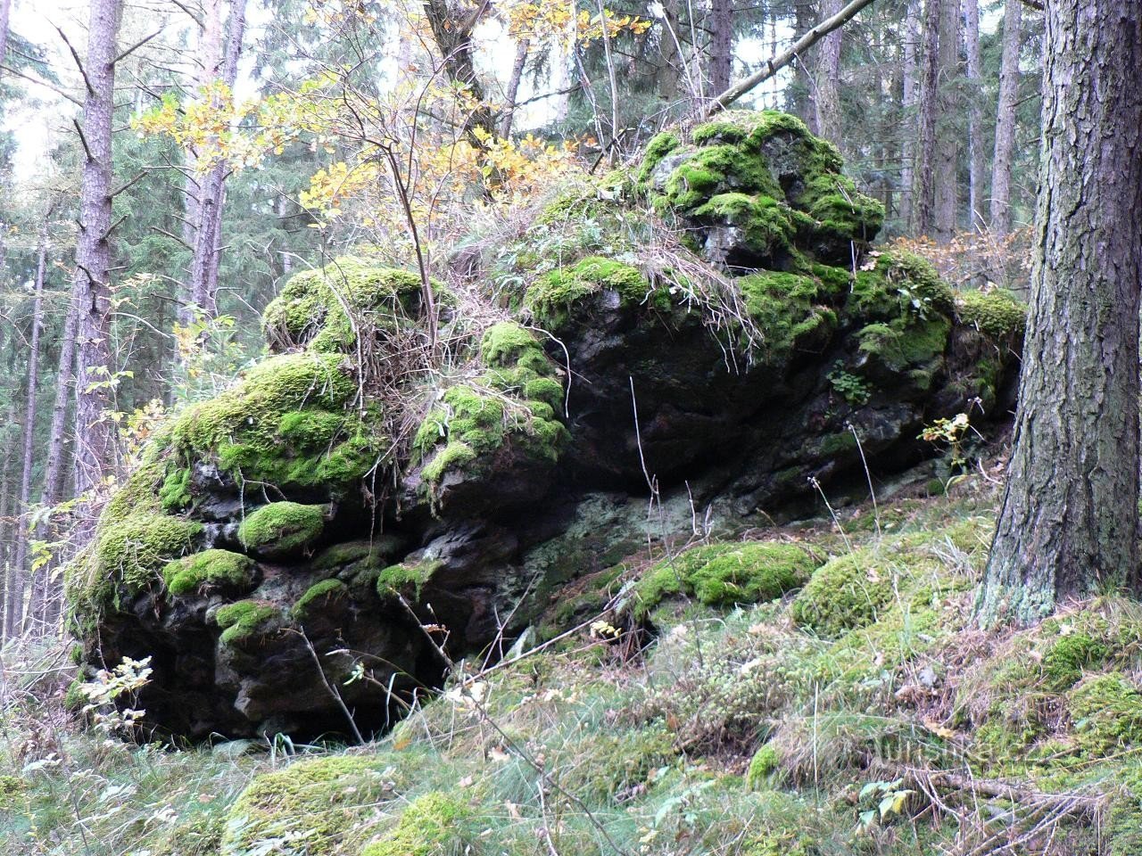 Kalovy Babka, sten på den vestlige skråning