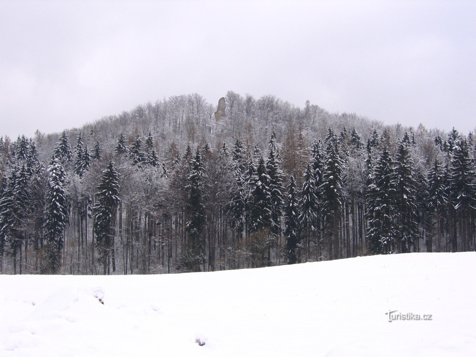 Kaltenstein