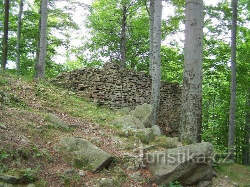 Kaltenstein - pozostałości murów