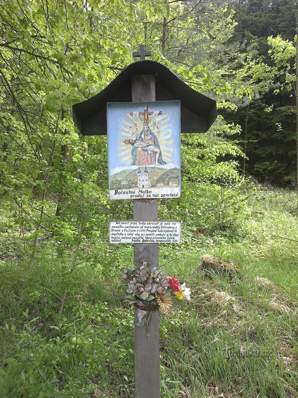 la cruz de calvod