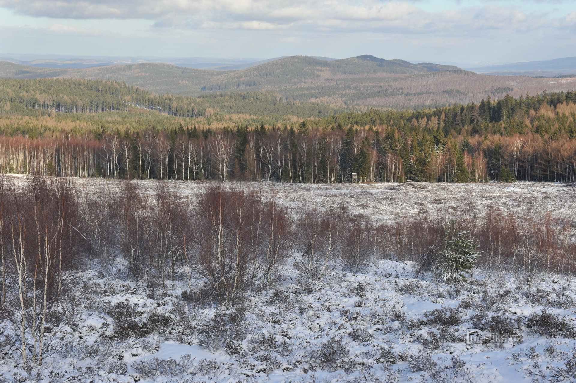 Hvor skal man stå på langrend i det centrale Bøhmen