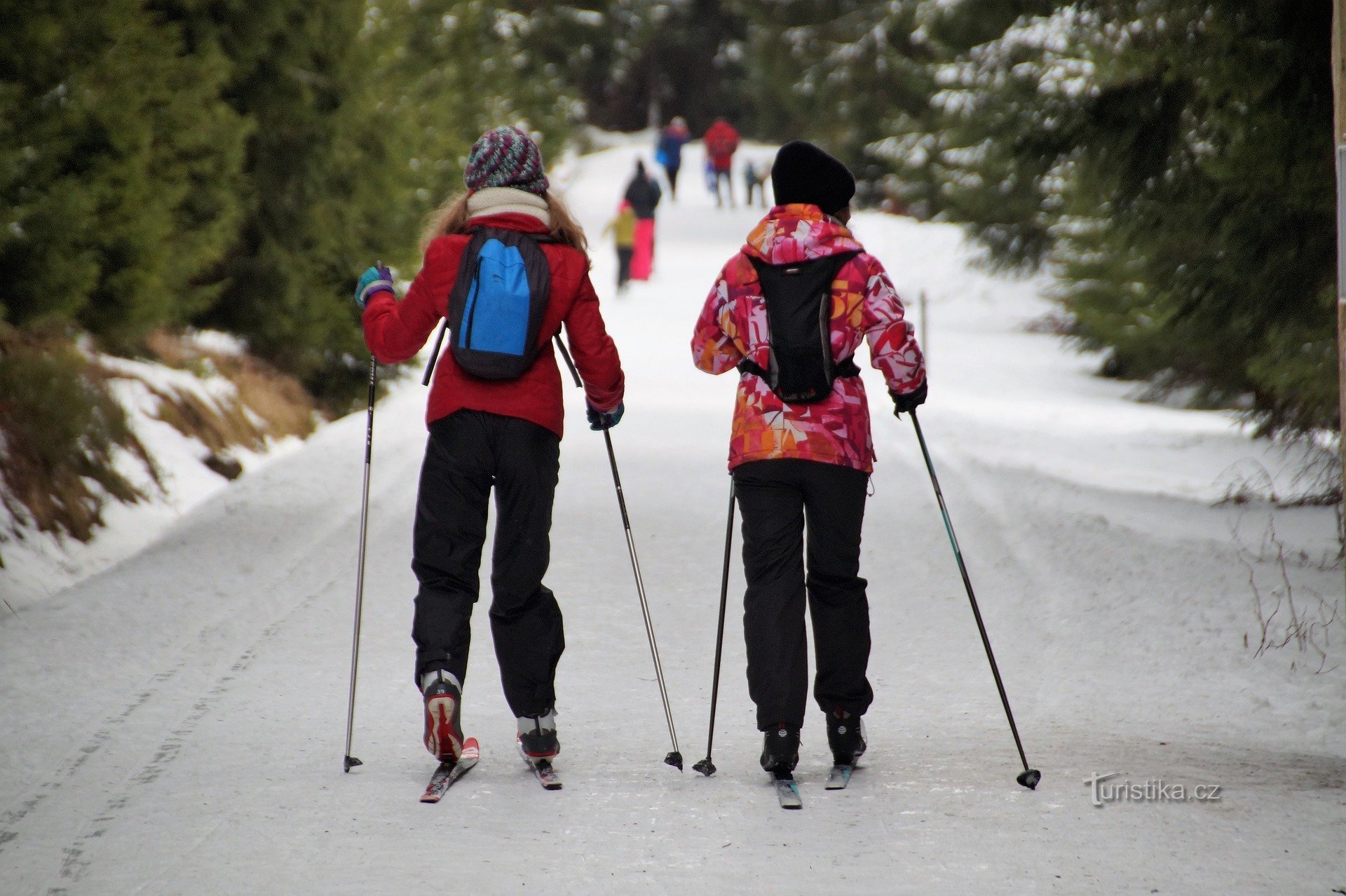 Where to go cross-country skiing in Central Bohemia