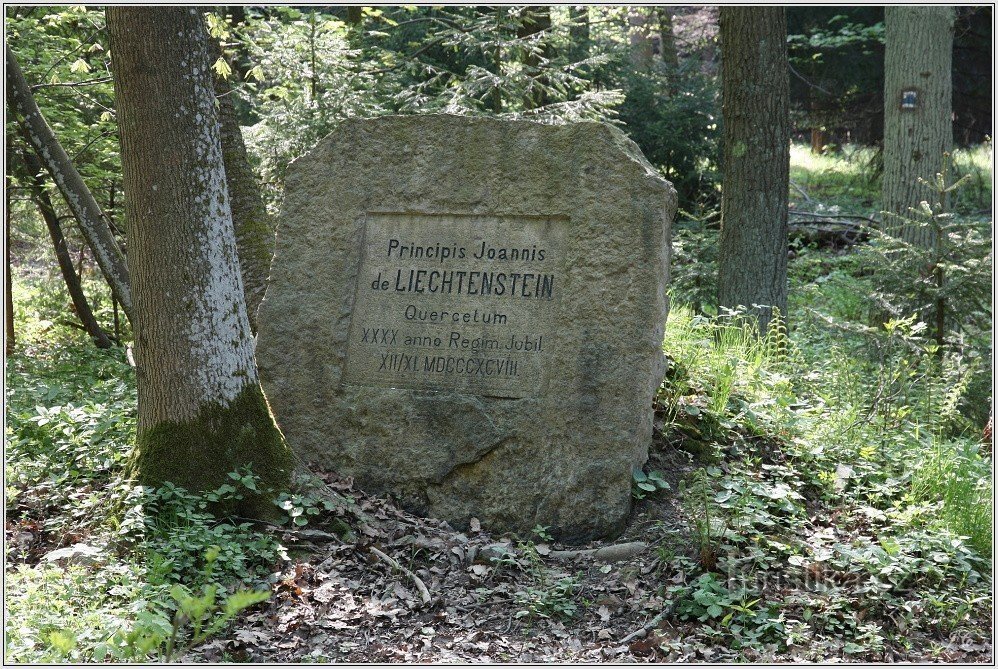 piedra de Liechtenstein