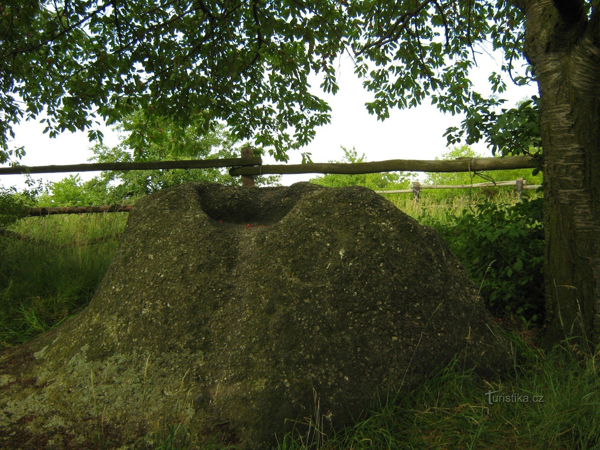 Pierre sous le cerisier