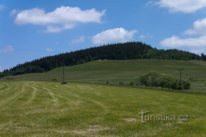 Kamenač je videti precej neopazen