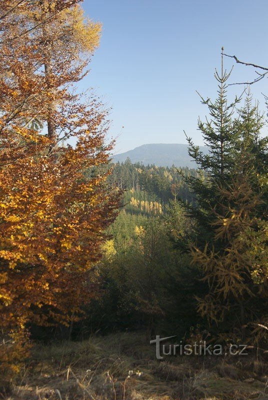 Галун з Prostřední skály над Vikýřovice