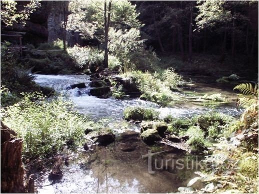 Kamenice - stream