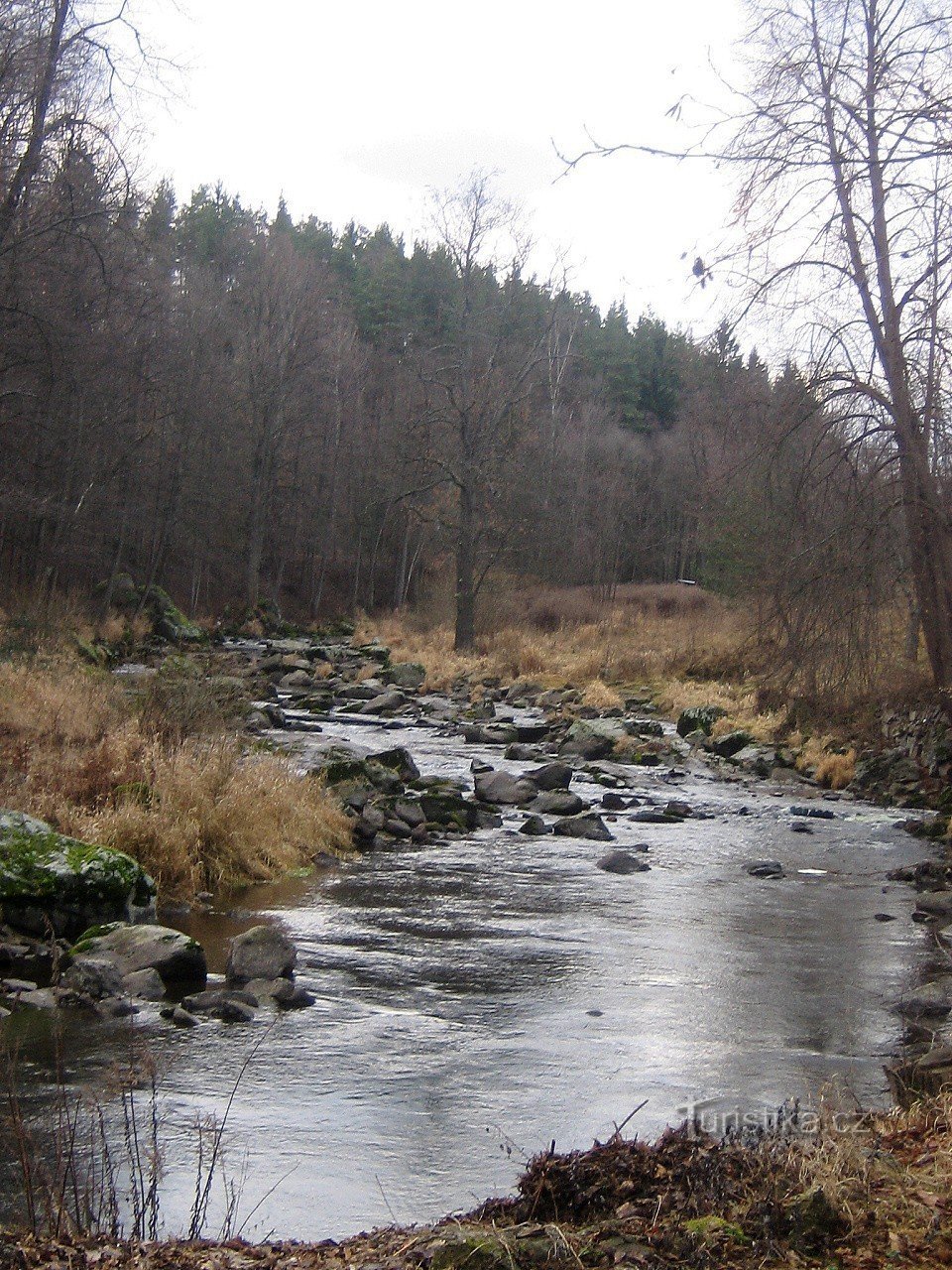 Il letto pietroso del fiume Malše sotto Kaplicí