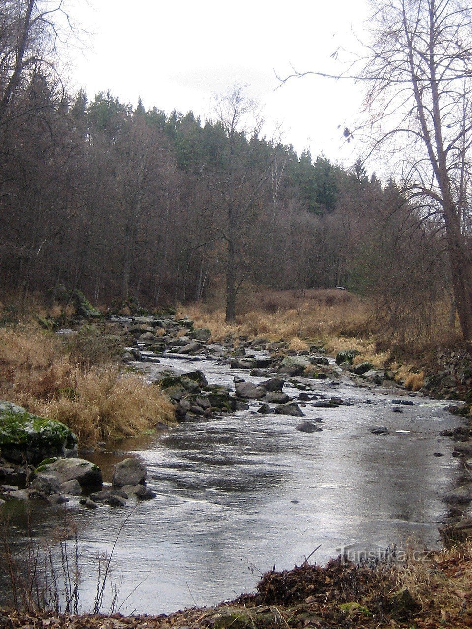 Malšes steniga flodbädd under Kaplicí