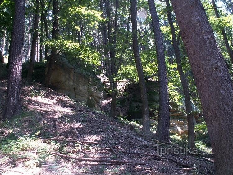 ストーン ウェディング: ハイキング トレイルの上にそびえ立つストーン ウェディングの岩塊。