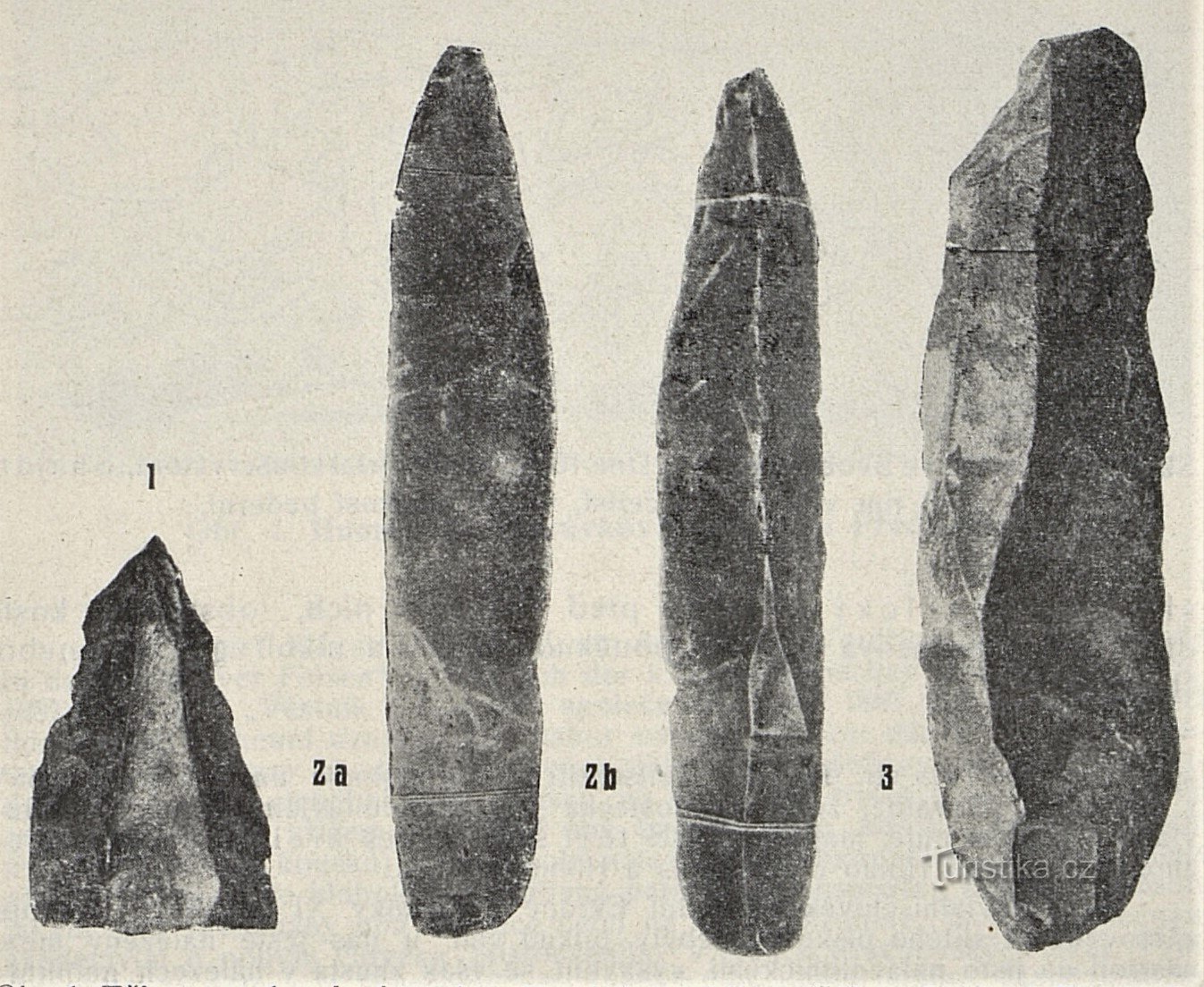 Industria de la piedra a partir de esqueletos de mamut de Svobodné Dvory (1899)